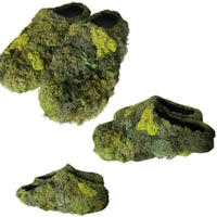 a pair of green slippers with moss on them